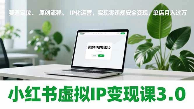 (17029期)小红书虚拟IP变现课3.0,赛道定位、原创流程、IP化运营,实现零违规安全变现,单店月入过万-BOSS 课程