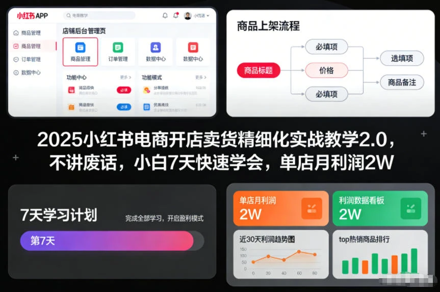 2025小红书电商开店卖货精细化实战教学2.0,不讲废话,小白7天快速学会,单店月利润2W-BOSS 课程