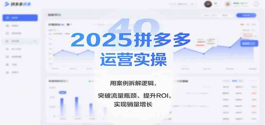 2025拼多多运营实操，用案例拆解逻辑，突破流量瓶颈、提升ROI，实现销量增长（更新）-BOSS 课程