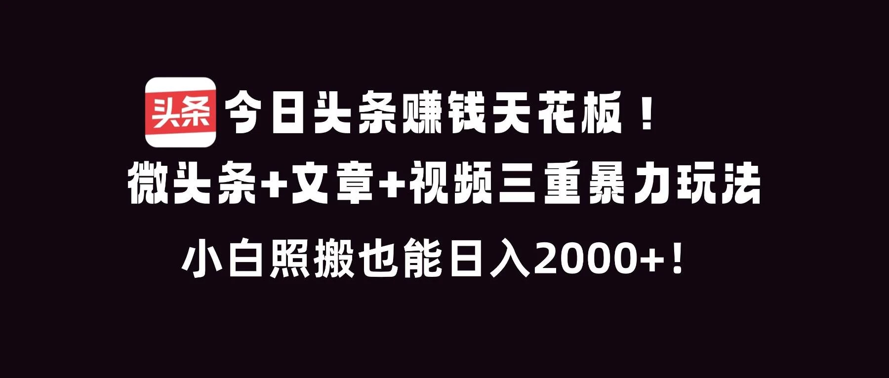 （16888期）今日头条赚钱天花板！微头条+文章+视频三重暴利玩法，小白照搬也能日人2000+-BOSS 课程